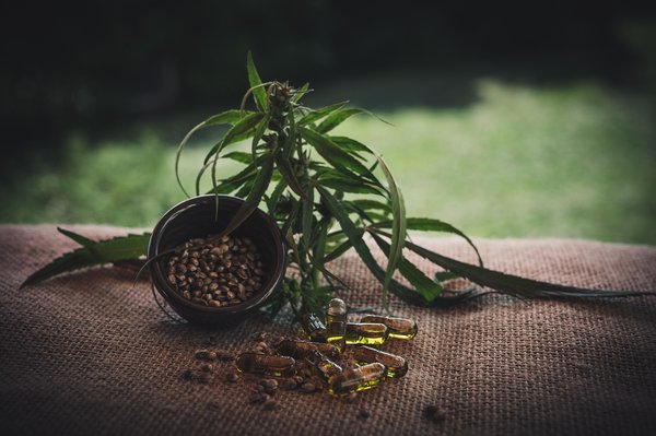 Interactions cannabidiol et médicaments : ce qu’il faut savoir